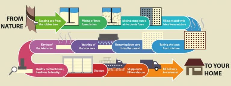 Types of Latex and Manufacturing Process